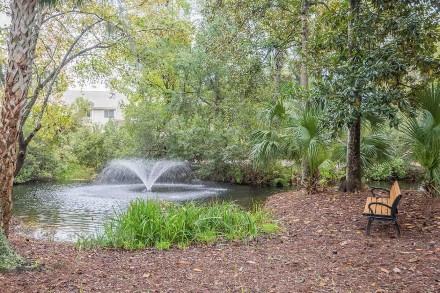 Forest Beach Condo Walk To Coligny, Pool, Tennis Гілтон-Гед-Айленд Екстер'єр фото